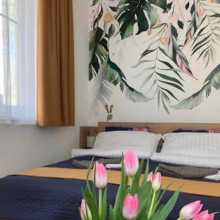 Sovirag Apartman 艾格扎洛克 外观 照片