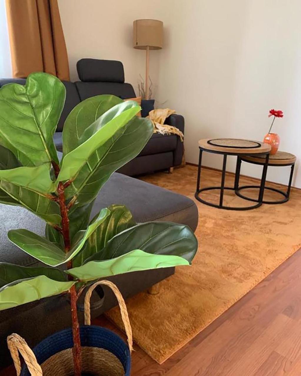 Sovirag Apartman 艾格扎洛克 外观 照片